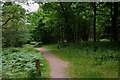 Path in the Wye Forest to Hawkbatch car park in DY12 3AD