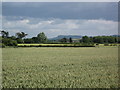 Farmland and view to Helsby Hill in CH3 7QD