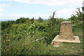 Churchdown Hill Trig Point (155m) in GL3 3NE