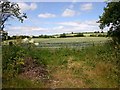 View west from lane near Far Longdon in CV36 4PL