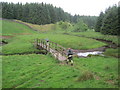 Footbridge over Blacka Burn in NE48 3DS