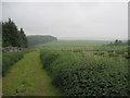 Bridleway towards Blacka Burn in NE48 3DS