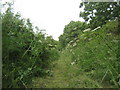Footpath from Dalton Piercy to Elwick in Dalton Piercy