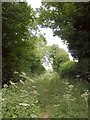 Footpath to Pimperne in DT11 8FE