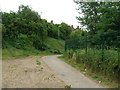 Footpath off Carlton Road, Nottingham in NG3 7DP