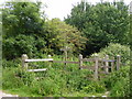 Footpath and Bridleway junction on Blofield Track in IP11 9FG