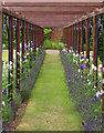 Pergola at Burnby Hall in YO42 2PU