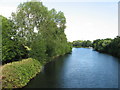 River Taff near Llandaff in Llandaff Community