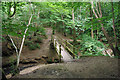 Footbridge over Waldron Gill in TN21 0XL