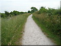 Towpath beside the Grantham Canal (footpath) in NG12 4GB
