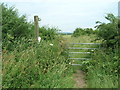 Trent Valley Way footpath in NG12 1ES