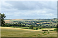 2010 : Ripening barley seen from Stanton Wick Lane in BS39 4EA