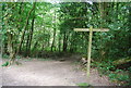 Footpath junction, Sandpits Wood in RH17 7DY
