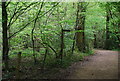 Footpath junction in Sandpits Wood in RH17 7DY