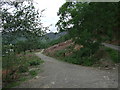 Track on north shore of Llyn Crafnant in LL27 0JZ