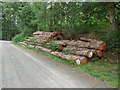 Timber at Llyn Crafnant in LL27 0JZ