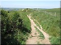 South West Coast Path west of White Nothe in DT2 8NJ