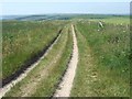 Footpath beside fields of Sea Barn Farm in DT2 8NJ