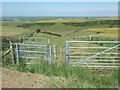 Chaldon Down and valley in DT2 8NJ