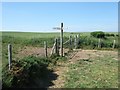 Footpath near Newlands Farm in DT2 8DW