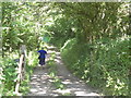 Footpath/Lane to Scuttishill Farm in Dunsford