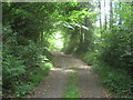 Bridleway in Mill Wood in RH19 3QD