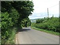 Road to Spyway from Vinney Cross in DT6 4PH