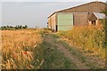 Barn, Bridleway and Ripening Barley in Fingringhoe