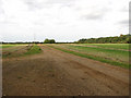 Farm track through fields west of the A149 road in PE31 6AW