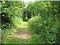 Footpath to Castle Marshes Nature Reserve in NR34 7QT
