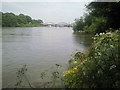 River Thames at Barnes in W4 2RJ