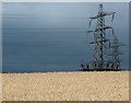 Barley field and pylon in S44 5YX