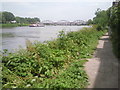 The Thames Path at Barnes in W4 2RJ