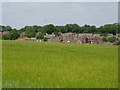 Field and housing at Middle Winterslow in SP5 1PJ