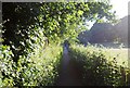 Footpath to Powder Mills in TN9 1XG