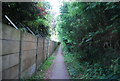 Footpath by GSK works, Powder Mills in TN11 9FB