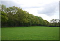 Woodland edge, Fletching Common in BN8 4QX