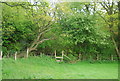 Footpath entering the woods, Fletching Common in BN8 4QX