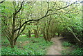 Footpath across Fletching Common in BN8 4QX