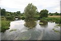 The River Wylye evening view  in SP3 4NN