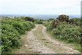 Track on common land at Buller Downs in TR16 6EZ