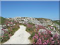 South West Coast Path in Longstone Ope Quarries, Portland in DT5 2DS