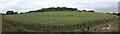 Westend Hill panorama in HP23 4QR