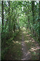 Bridleway to Upper Street, Stansfield in CO10 8DQ
