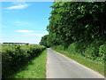 Farm road (bridleway) beside Kirby Plantation in YO17 8DB
