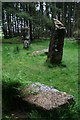 Kilmore Standing Stones in PA75 6QN