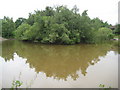 Bracknell: Savernake Pond in RG12 0XX