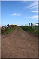 Farm Track in AB39 2TT