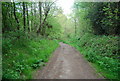 Sussex Border Path, Church Wood in RH17 7AW