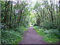 Cycleway in Milton of Campsie in G66 8HY